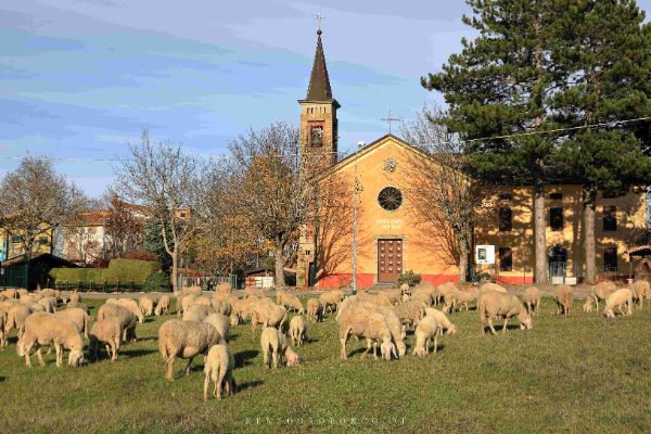 Frazione di Obolo